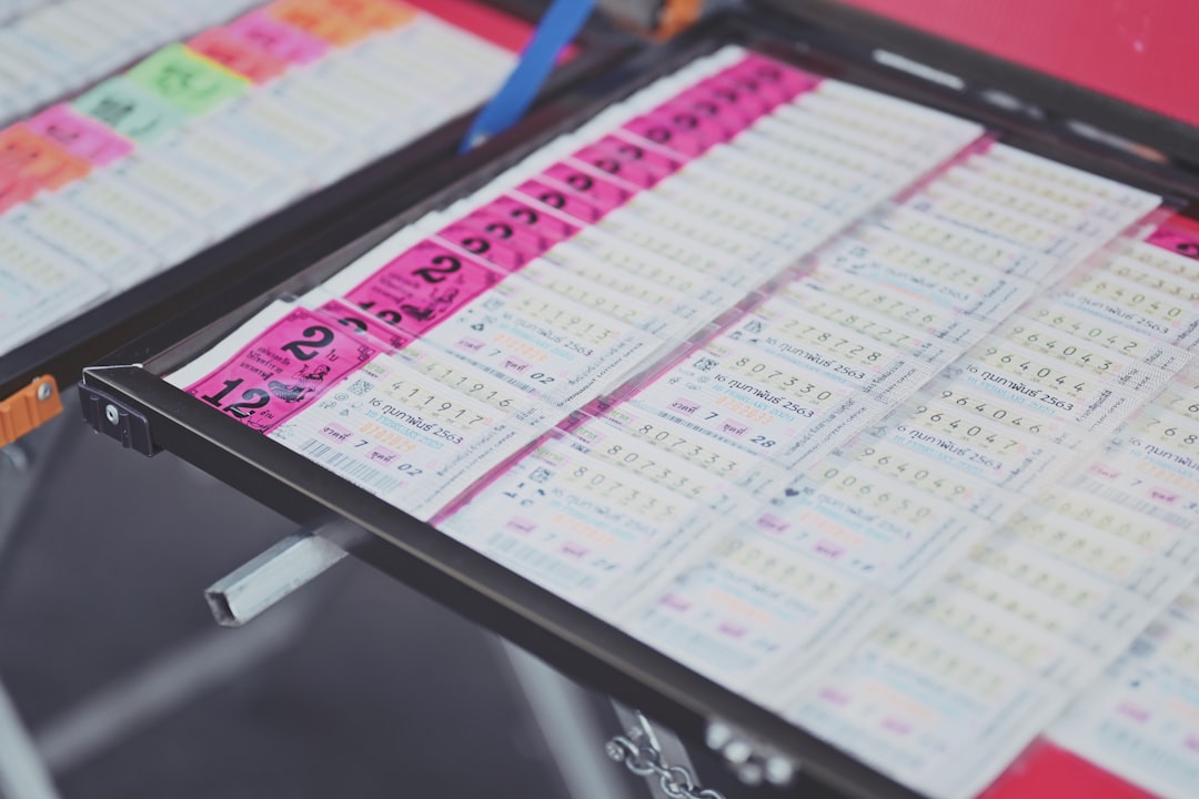 Conduite & Calendrier Apicole : Mythes vs Réalités Décryptés par la Pratique