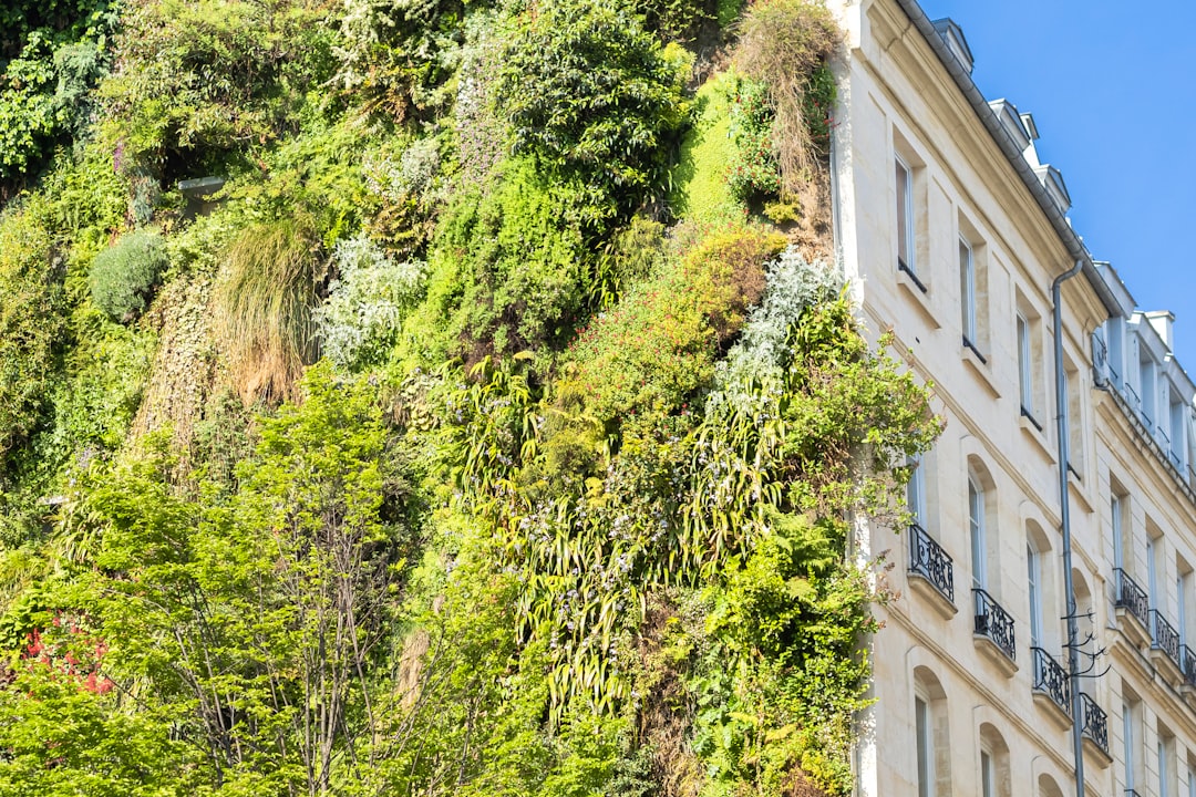 Plan d'Action Idéal : Concrétiser Récolte, Extraction & Produits de la Ruche sans Stress